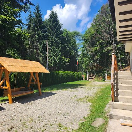 Cabana Valea Bradului Nucsoara  Экстерьер фото