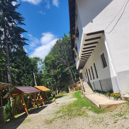 Cabana Valea Bradului Nucsoara  Экстерьер фото