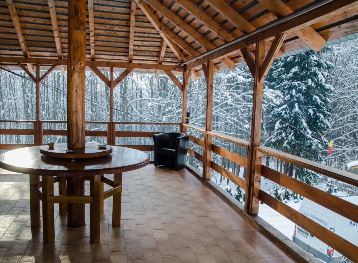 Cabana Valea Bradului Nucsoara  Экстерьер фото