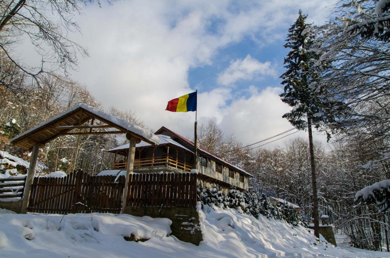 Cabana Valea Bradului Nucsoara  Экстерьер фото