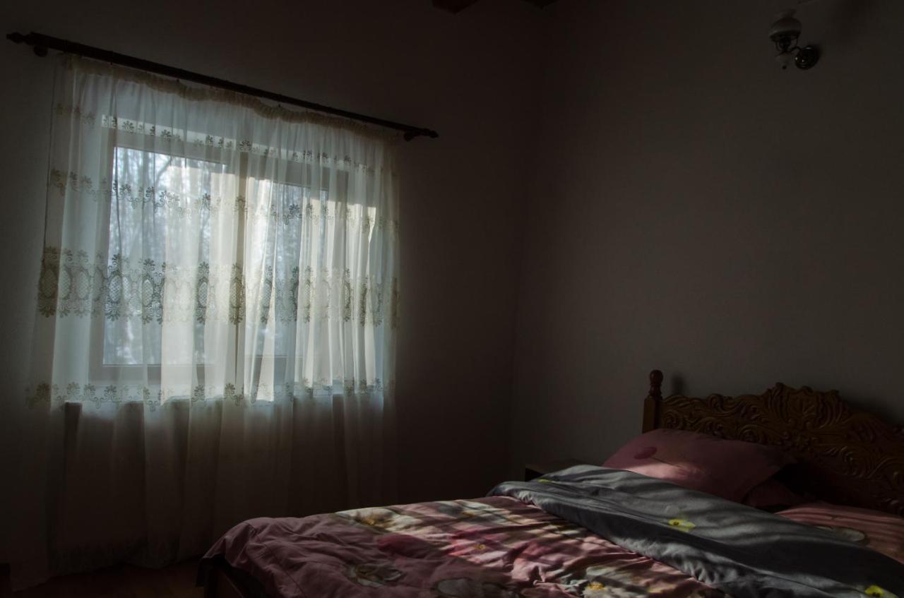 Cabana Valea Bradului Nucsoara  Экстерьер фото