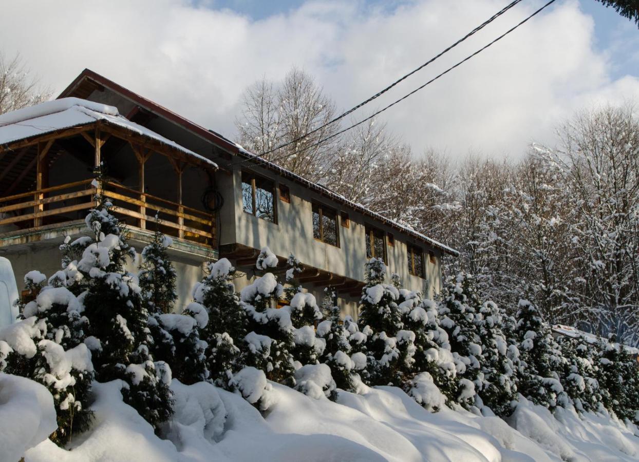 Cabana Valea Bradului Nucsoara  Экстерьер фото