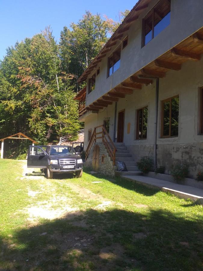 Cabana Valea Bradului Nucsoara  Экстерьер фото