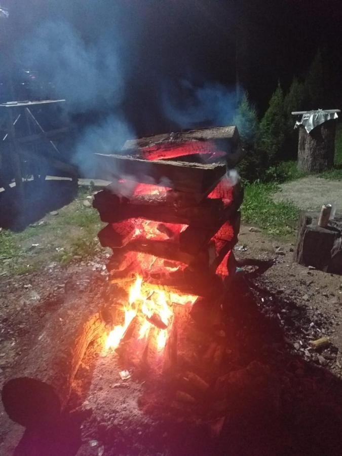 Cabana Valea Bradului Nucsoara  Экстерьер фото