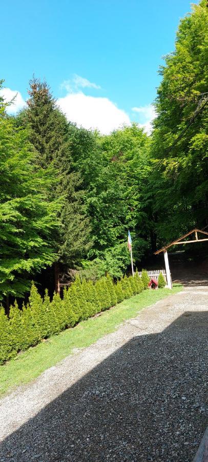 Cabana Valea Bradului Nucsoara  Экстерьер фото