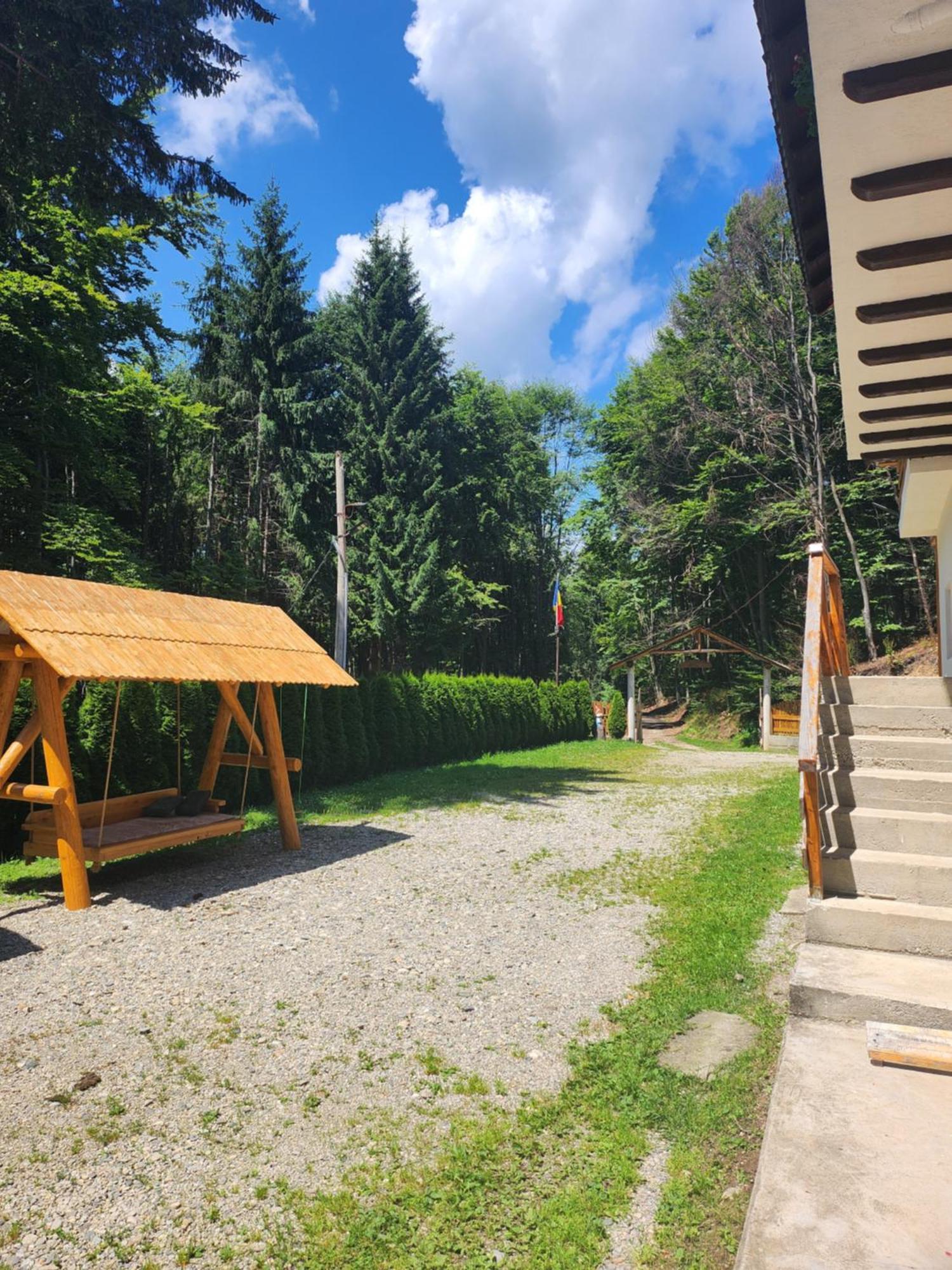 Cabana Valea Bradului Nucsoara  Экстерьер фото