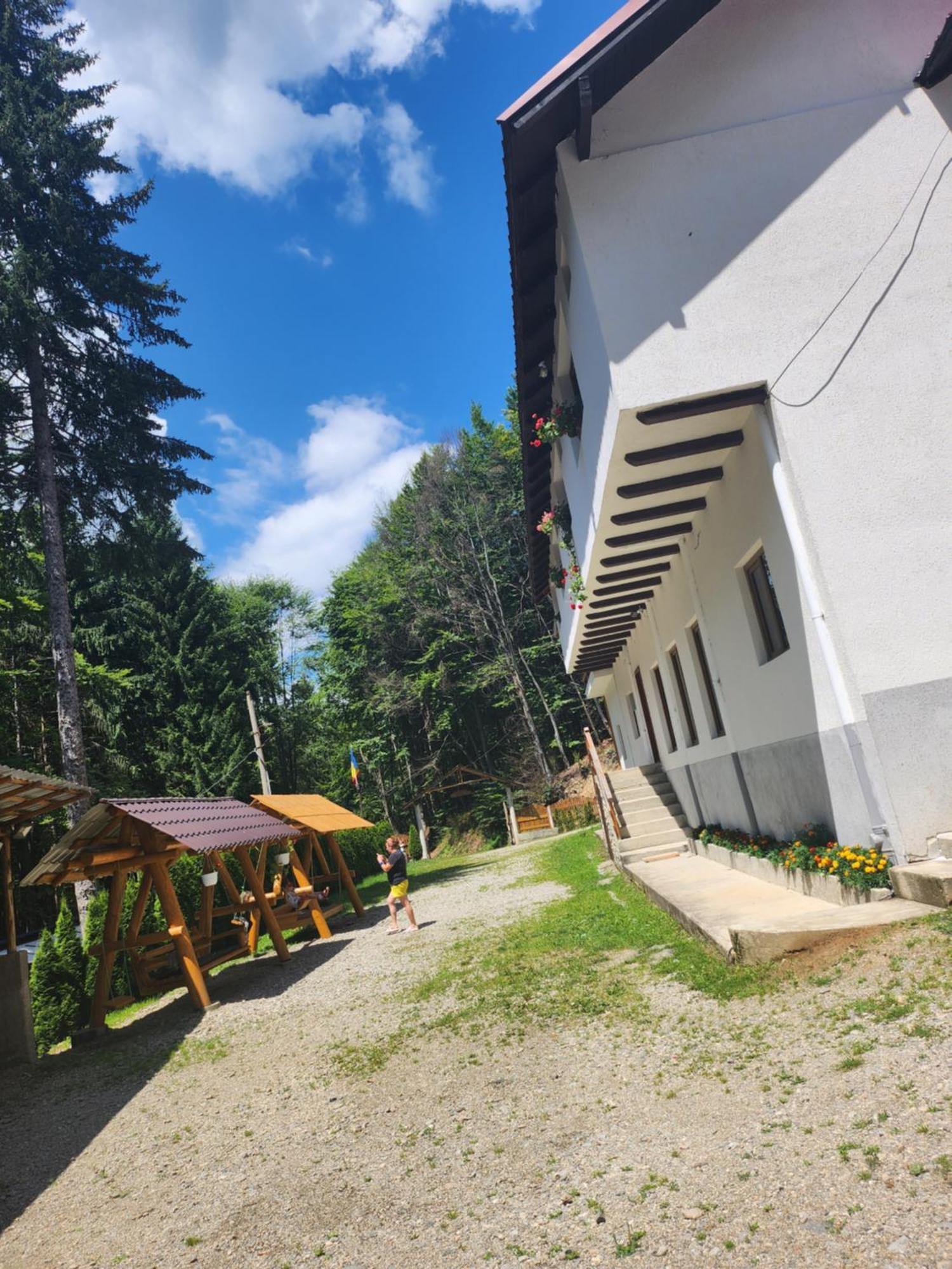 Cabana Valea Bradului Nucsoara  Экстерьер фото