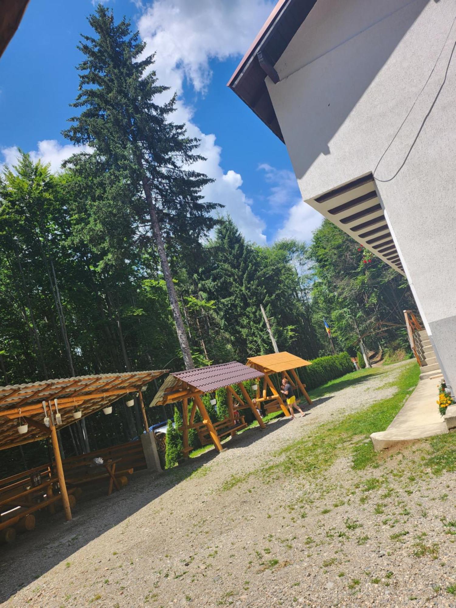 Cabana Valea Bradului Nucsoara  Экстерьер фото